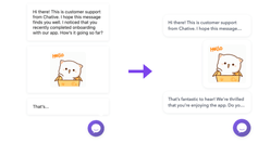 live chat 