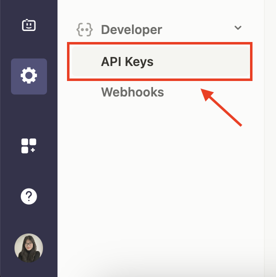 The image illustrates the API keys option!